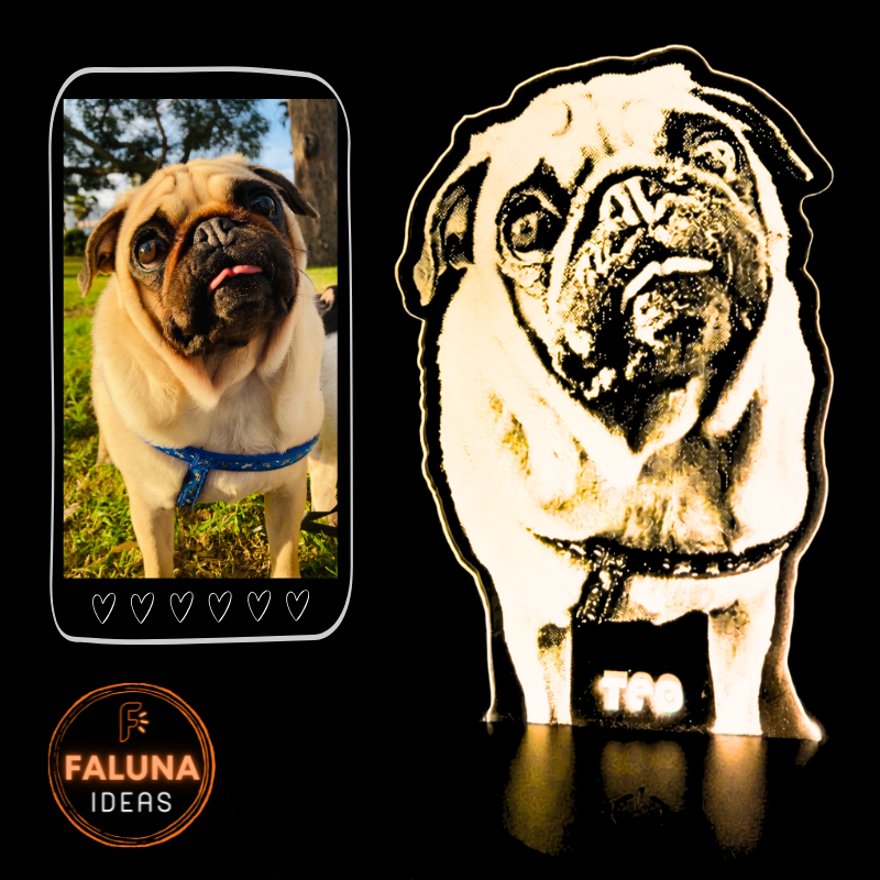 Lampara Led Realista Mascota
