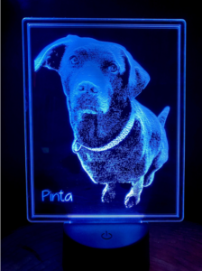 Lampara Led Realista Mascota