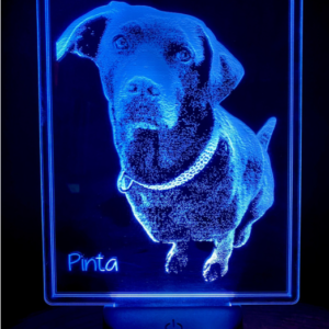 Lampara Led Realista Mascota